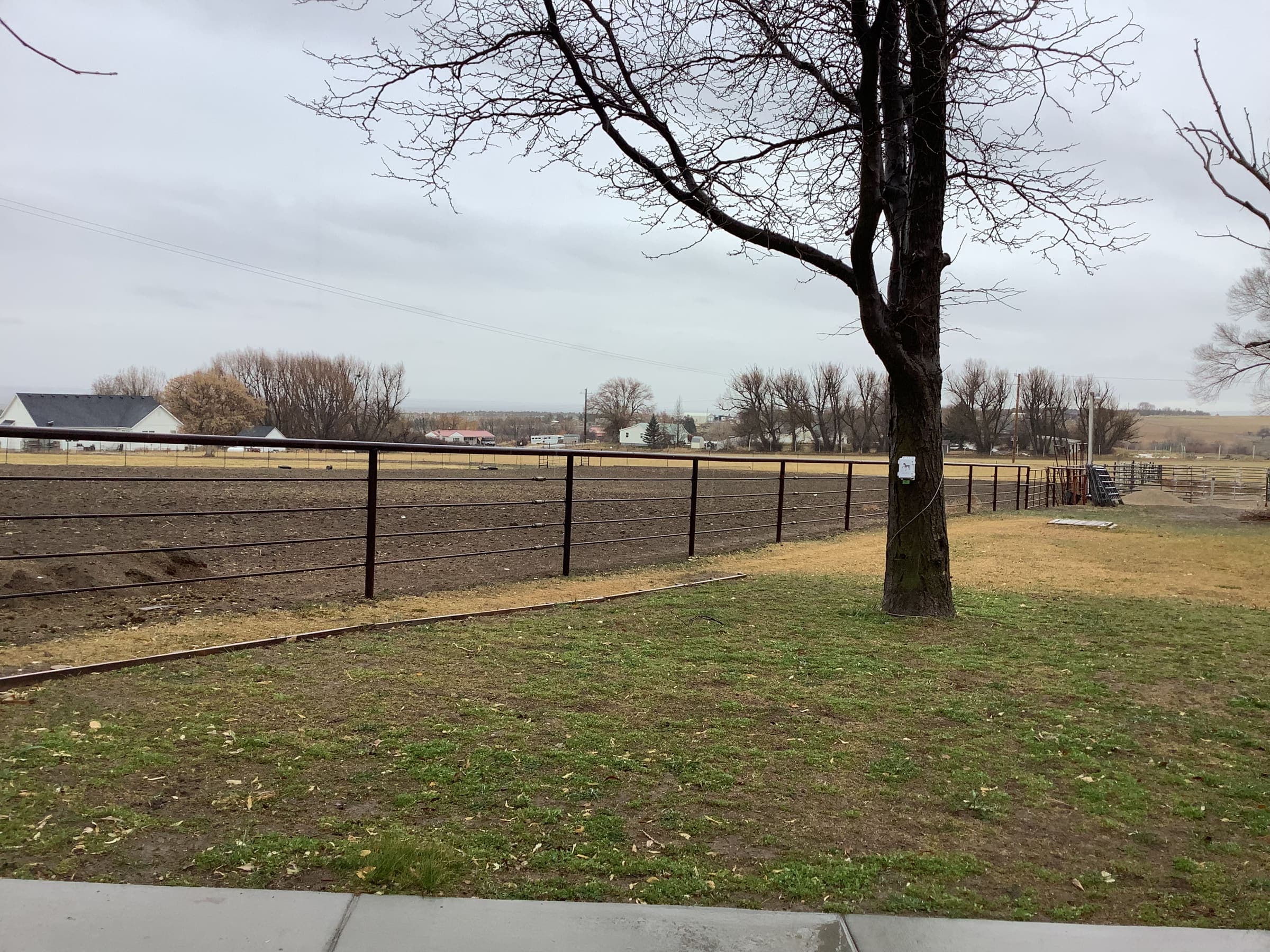 Grassy side yard with a wood-rail fence and shade tree, looking out over open Rush Valley farmland